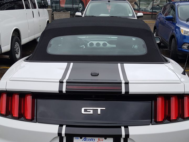 Custom Mustang GT Rear Stripes